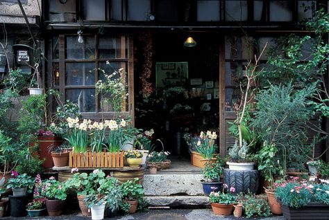 Japan Old House, Cute Japanese House, Japanese Cottage, The Japanese House, Old Japanese House, House Reference, Japanese Houses, Japanese Countryside, Old Japan