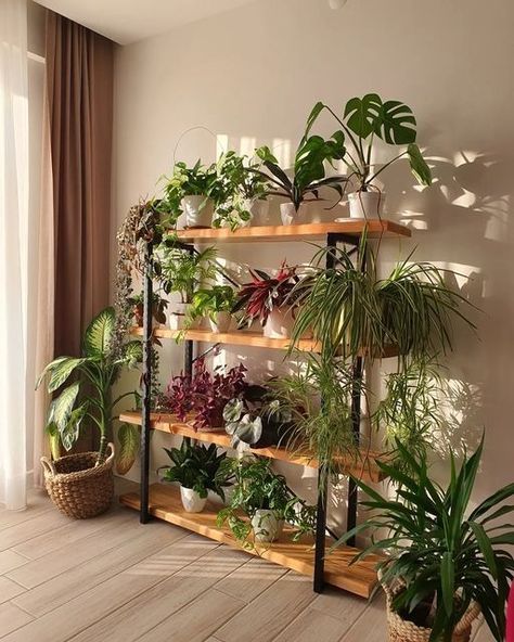 Arrangement of charming plants: Interior Design Ideas to beautify your space : dailyinterior's Blog House Plant Shelves, How To Arrange Plants In Home, Diy Plant Shelf Indoor, Decorating With Plants Indoors, Leaves Decoration Ideas, Plant Wall Shelves, Plants Shelves, Indoor Garden Rooms, Hanging Leaves