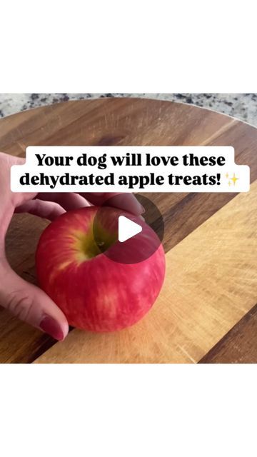 bodhi + kora on Instagram: "Her little crunches at the end 🥹

Share this treat idea with another pet parent! ✨ 

You will need:
• 1 apple (NO CORE OR SEEDS) 
• parchment paper
• baking sheet

Set the oven to 200° Fahrenheit and bake for 2 hours. Flip them halfway to make the dehydrated treat extra crunchy.

Limit apple treats (1-3 slices per day).

Please consult a veterinarian if you have questions or concerns about feeding your dog this treat.

Follow @bodhi.and.kora for more dog-friendly recipes, tips and tricks!

.
.
.
.

#dogtreats #dogtreat #doglife #dogtreatrecipe #dogtreatsfordays #homemadedogtreats #dogmom
#dogtips #doghealth #doglover #asmrdog #doglover #dognutrition" Dehydrated Apples For Dogs, Homemade Apple Dog Treats, Apple Carrot Dog Treats Recipe, Dog Apple Treats, Dog Treats Business Ideas, Dehydrating Dog Treats, Dehydrated Food For Dogs, Dog Treats That Dont Need Refrigeration, Dehydrated Dog Treats Recipes