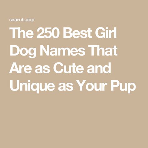 The 250 Best Girl Dog Names That Are as Cute and Unique as Your Pup Top Girl Dog Names, Best Girl Dog Names, Girl Pet Names, Dog Names Girl, Girl Dog Names Unique, Puppies Names Female, Unique Dog Names, Small Dog Names, Dog Names Unique