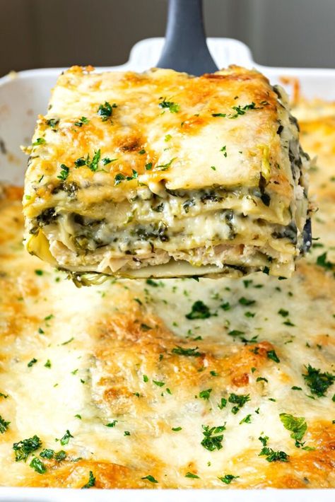 Chicken And Broccoli Lasagna, Chicken And Spinach Lasagna, Broccoli Lasagna, White Lasagna Recipe, Presto Pasta, Chicken Spinach Lasagna, White Chicken Lasagna, Chicken Lasagna Recipe, Broccoli Cheddar Chicken