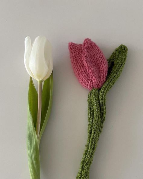 Tulip decor