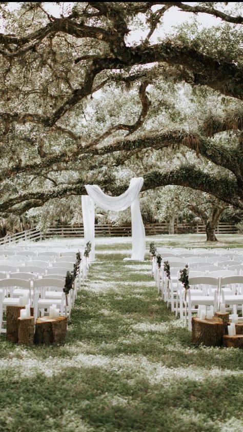 Oak Tree Ceremony Decor, Outdoor Greenery Wedding, 2023 Backyard Wedding, Tree Arch Wedding Ceremony, Tree As Wedding Arch, Country Wedding Venues Outdoor Ceremony, Wedding Outside Decorations Outdoor Ceremony, Small Intimate Wedding Ceremony Outdoors, Park Weddings Ideas