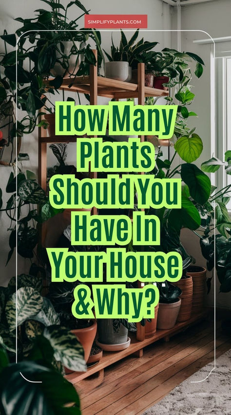 "House plants, indoor gardening, plant care, plant placement, plant 
varieties, plant aesthetics, plant health, plant benefits, plant decor, 
plant arrangement." What Indoor Plants Can Go Outside, Indoor Houseplants Decor, Healthy House Plants, Houses With Plants Inside, Best Home Plants For Your Health, Elegant Indoor Plants, Magical House Plants, Plants That Purify Indoor Air, Different House Plants