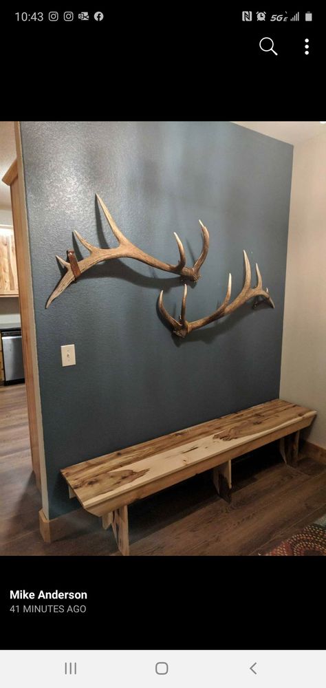 Elk Shed Antler Display Ideas, Elk Over Fireplace Living Rooms, Antler On Wall Decor, Elk Decor Rustic Living Rooms, Elk Antler Wall Decor Ideas, House Decor With Deer Mounts, Hunting Room Design Ideas, Elk Rack Mount, Antler Mantle Decor