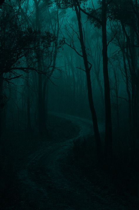 Aesthetic Slytherin, Dark Green Forest, Dark Green Aesthetic, Slytherin Aesthetic, Green Forest, Dark Forest, Green Aesthetic, Dark Green, Forest