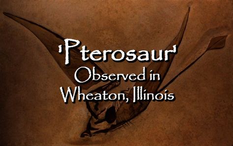 Wheaton Illinois, Bigfoot Sightings, Paranormal Investigation, Illinois, Supernatural, Walking