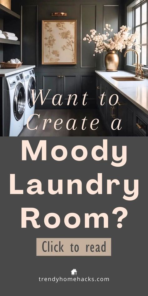 Burgundy Laundry Room, Iron Ore Laundry Room, Moody Laundry Room, Laundry Storage Cabinet, Laundry Room Closet Ideas, Room Closet Ideas, Laundry/mudroom Ideas, Narrow Laundry, Laundry Room Paint Color