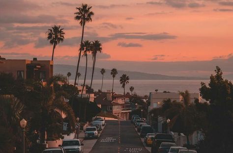 #aesthetic #sky #beautiful #pretty #ocean #city #sunset #alternative #tumblr #colors  https://weheartit.com/entry/324386895 Palm Trees, We Heart It, Trees, Laptop, California, Cars