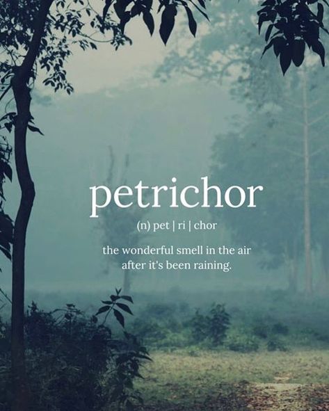 Petrichor - love this smell! . Its the smell of rain either as it falls or in anticipation of it falling. The source of this smell is from a combination of oils secreted by plants during dry weather (which signals to halt root growth and seed germination) and chemicals released by soil-dwelling bacteria. . #sweeneylandscspedesign #rain #petrichor #earth #summerrain #clay #soil #water #natural #nature #smellofrain #smell #geosmin #actinobacteria Rain Quotes, Smell Of Rain, Unique Words Definitions, Lovers Quotes, Unusual Words, Rare Words, Word Definitions, Unique Words, Aesthetic Words