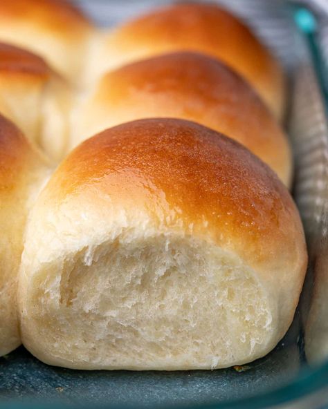 The Best Dinner Rolls Ever, Easy Roll Recipe Quick, Bread Roll Recipes Homemade, Recipes For Rolls, Light Dinner Rolls, Best Yeast Dinner Rolls, 1 Hour Yeast Rolls Recipe, 1 Hour Rolls Recipe, The Bread Lady