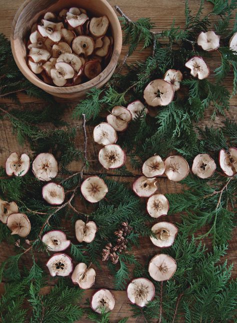 Learn how to make a dried apple garland that is perfect for a fall mantel, and looks good with Christmas greenery too! #driedapples #homedecor Dried Apple Garland, Fall Garland Diy, Natural Christmas Ornaments, Apple Garland, Natural Holiday Decor, Primitive Christmas Tree, Apple Christmas, Natural Ornaments, Winter Garland