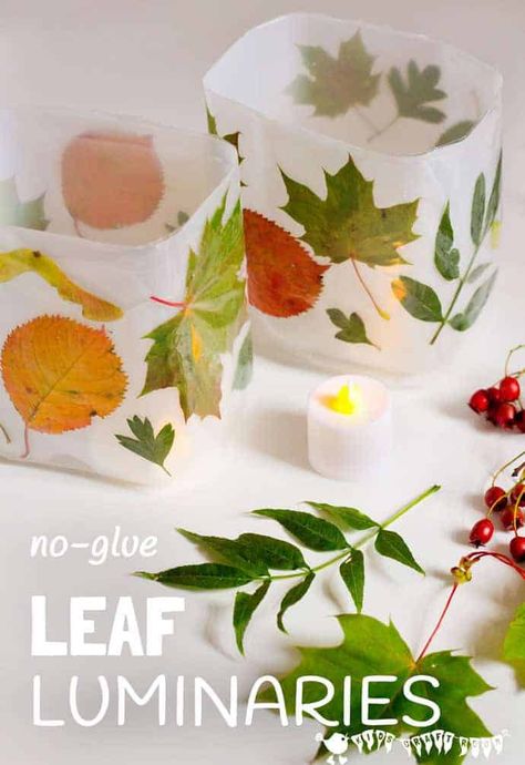 Leaf Luminaries, Cheap Fall Crafts For Kids, Kids Lantern, Luminary Diy, Lantern Crafts, Diy Leaf, Autumn Leaves Craft, Leaf Projects, Lantern Craft