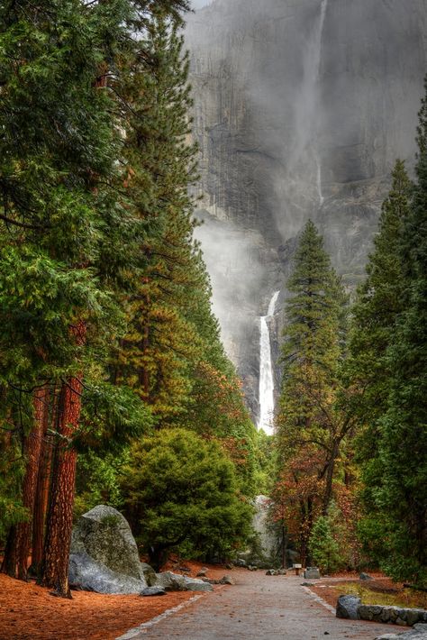 California Waterfalls, Beautiful Places In California, California Places To Visit, California Nature, Places In Usa, Places In California, Yosemite Falls, California Vacation, Visit California