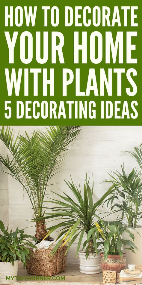 how to decorate with plants indoors living room Botanical House Interiors, Indoor Plant Grouping Ideas, Plants In The Living Room Ideas, Plant Decor Ideas Indoor, House Plants Indoor Decor Living Room, Silk Plants Living Room Home Decor, Indoor Plant Ideas Decor, Decorating Living Room With Plants, Using Plants To Decorate Indoors