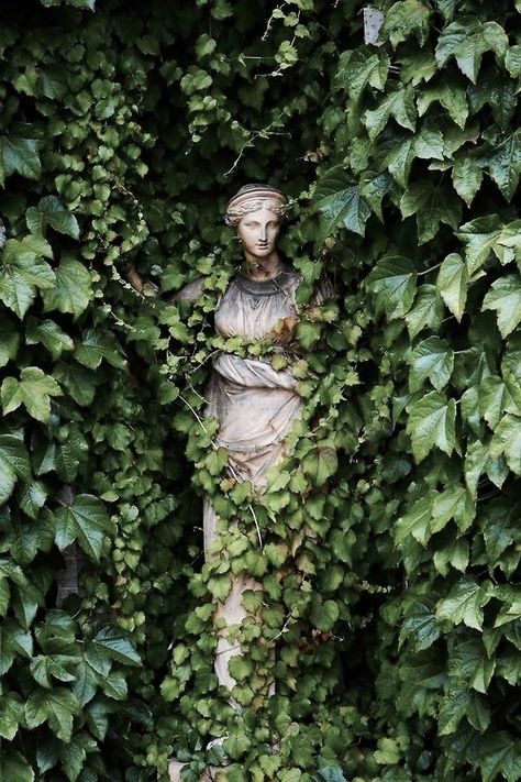 숲 사진, Funny Vine, Istoria Artei, Slytherin Aesthetic, Secret Gardens, The Secret Garden, Sleeve Tattoo, Garden Statues, Nature Aesthetic