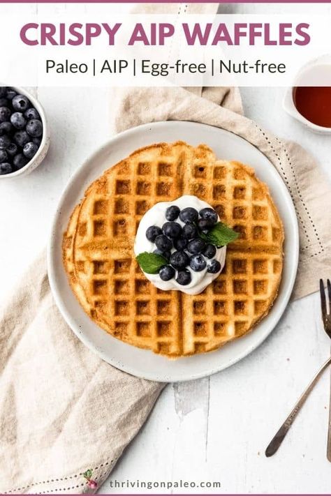 AIP Waffles Aip Waffles, Pantry Breakfast, Aip Diet Recipes, Aip Breakfast, Autoimmune Paleo Recipes, Aip Paleo Recipes, Crispy Waffle, Traditional Breakfast, Aip Diet