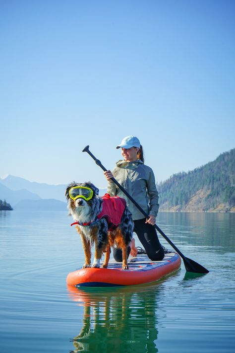 Travel With Pets, Dog Travel Essentials, Hiking With Dog, Hiking Dog, Dog Lifestyle, Adventure Dog, Active Dogs, Sup Stand Up Paddle, Dog Mommy