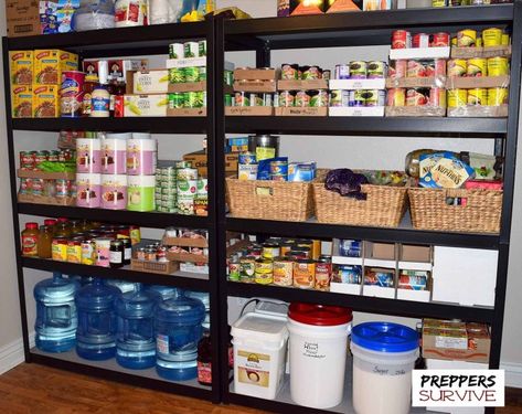 Prepper's Pantry - Food Storage Pictures - Images of Canned Food Preppers Food Storage, Prepper Pantry, Prepper Supplies, Prepper Food, Preppers Pantry, Emergency Food Storage, Organized Pantry, Long Term Food Storage, Prepper Survival