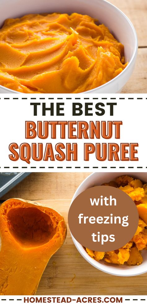 Do you love veggie dishes? Try this butternut squash puree recipe. It's an ideal addition to fall side dishes and fits perfectly into your Thanksgiving recipes. The guide offers clear steps to cook and puree butternut squash, making your squash recipes a breeze. Explore this easy-to-follow guide that includes handy freezing tips, ensuring your squash puree is ready whenever you need it. Don't miss out on making this delicious vegetable dish part of your fall recipes lineup! Freezing Butternut Squash, Fall Side Dishes, Butternut Squash Recipes Easy, Frozen Butternut Squash, Easy Butternut Squash, Baked Butternut Squash, Butternut Squash Puree, Squash Puree, Butternut Squash Recipes