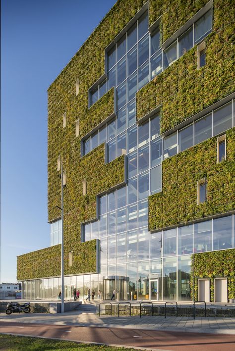 Green Building Architecture, Luxury Exterior, Green Facade, Pavilion Architecture, Green Walls, Green Architecture, Modern Architecture House, Building Facade, Architecture Exterior