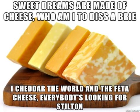 26 Music Memes To Make Your World Go Round Cheese Jokes, Cheese Meme, Snack Humor, Funny Food Memes, Music Memes Funny, Food Memes, Food Puns, Music Humor, Music Memes