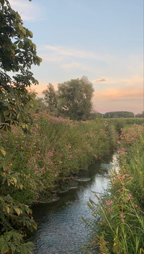 #river #aesthetic #flowers #vintage #sunset Southern Garden Aesthetic, Vintage Countryside Aesthetic, Aesthetic River Pictures, By The River Aesthetic, Freshwater Aesthetic, Camilla Aesthetic, River With Flowers, Aesthetic Flowers Vintage, Rivers Aesthetic