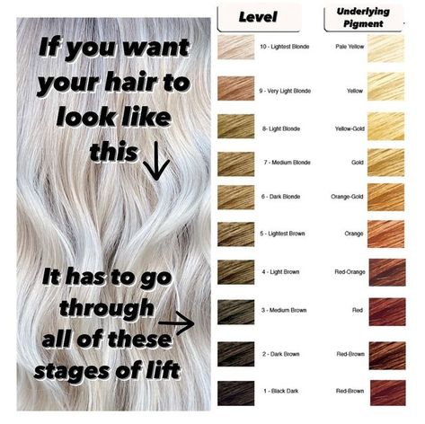 Cool Level 8 Blonde, 10 Levels Of Hair Color, Level 9 Blonde Hair, Level 10 Blonde Hair, Blonde Levels, Level 7 Hair Color Cool Tone, Level 8 Cool Blonde Hair, Lightest Blonde Hair Color, Brown To Blonde Stages