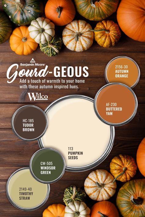 Behr Fall Color Palette, Fall Color Palette Home, Autumn Wall Colors, Autumn Decor Color Palette, Benjamin Moore Audubon Russet, Pairing Wood Tones, Autumn Paint Colors, Autumn Paint Palette, Living Room Autumn Colors