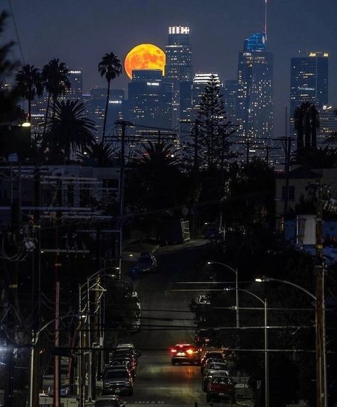 Simp For Her, Aesthetic City View, Los Angeles At Night, Angeles Aesthetic, Los Angeles Wallpaper, City View Night, Los Angeles Aesthetic, Life In The City, Los Angeles City