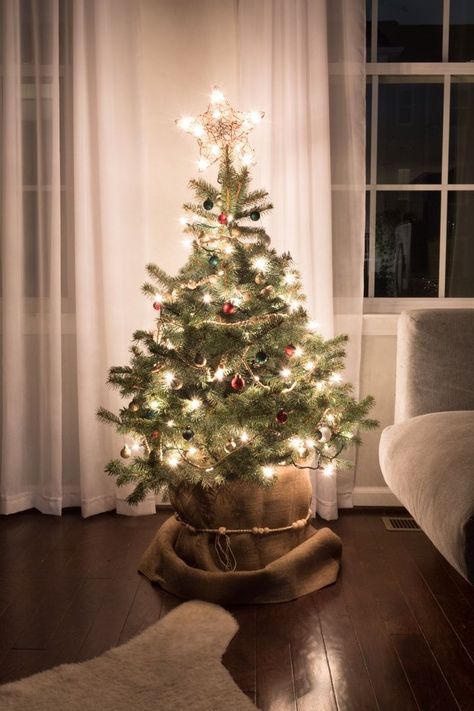 Natural Christmas Tree, Potted Christmas Trees, Live Christmas Trees, Diy Christmas Garland, Small Christmas Tree, Christmas Apartment, Real Christmas Tree, Christmas Tree Inspiration, Christmas Tree Garland