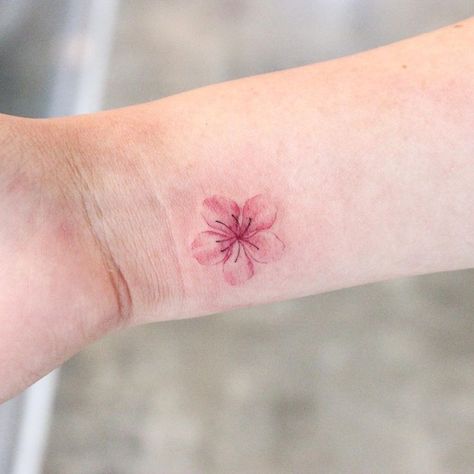 Small Tattoo Cherry Blossom, Pink Woman Art, Sakura Minimalist Tattoo, Cherry Blossom Tattoo Pink, Cherry Blossom Small Tattoo, Single Cherry Blossom Tattoo, Cherry Blossom Minimalist Tattoo, One Flower Tattoo, Cherry Blossom Wrist Tattoo