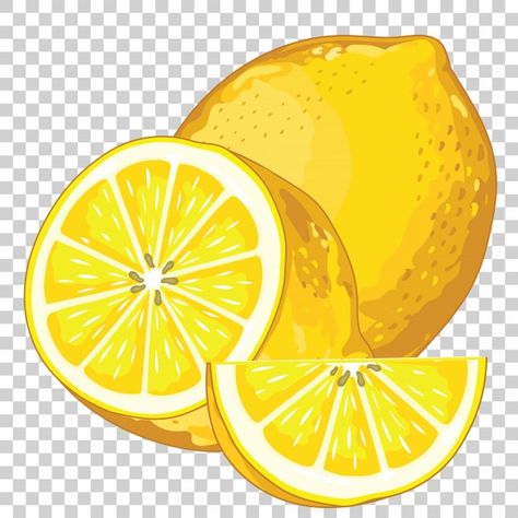 Lemon isolated on transparent Premium Ve... | Premium Vector #Freepik #vector #food #leaf #fruit #health Lemon Images, Lemon Pictures, Lemon Drawing, Fruit Art Drawings, Lemon Set, Iced Green Tea, Lemon Painting, Lemon Art, Lemon Patterns