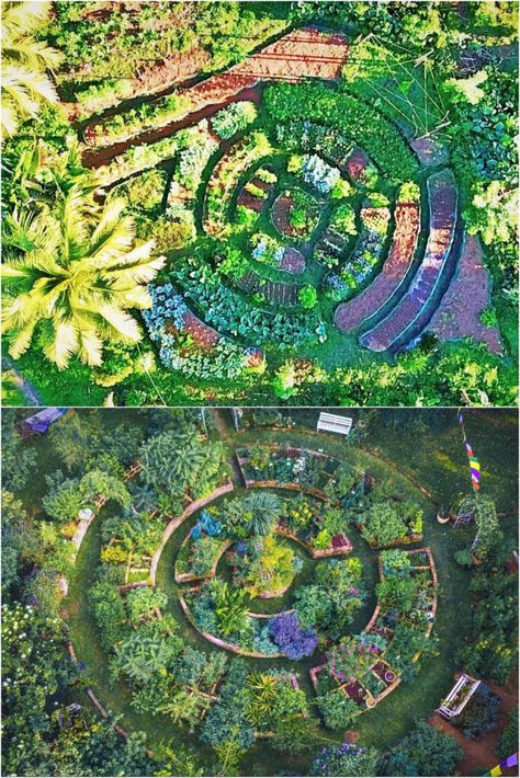 25 best vegetable garden design ideas & easy layout plans for beginners & pros to grow your own food in a front or backyard edible landscape. - A Piece of Rainbow, kitchen garden, vegetable gardening ideas, small space tips, grow your own food, herbs, homestead, homesteading, spring, summer, raised beds, trellis, greenhouse, DIY Food Forest Design, Vegetable Garden Design Ideas, Food Forest Garden, Garden Bed Layout, Edible Landscape, Backyard Garden Layout, Small Vegetable Gardens, Vegetable Garden Planning, Backyard Vegetable Gardens