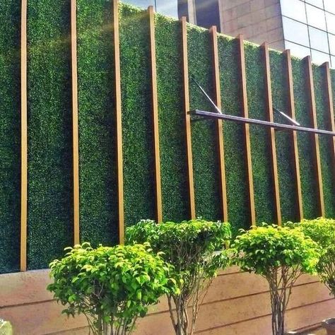 Garden Wall Design Ideas ✨️👍😍 #garden #gardendesign #gardeninspiration #gardenwalldesigns #homedesignsdworld #facebookviral #grasswall #grasswalls #fypシ゚viralシ2024fyp #explorepost Vertical Wall Garden, Artificial Grass Wall, Garden Wall Designs, Easy Diy Ideas, Artificial Grass Installation, Artificial Garden, Artificial Leaves, Types Of Grass, Grass Wall