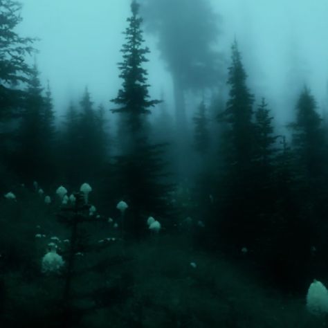 fairy core fairycore twilight core twilightcore aesthetic icons aestheticicons Twilightcore Aesthetic, Twilight Core, Grunge Pictures, Dark Green Aesthetic, Trash Art, Foggy Forest, Green Aesthetic, Sheep, Forest