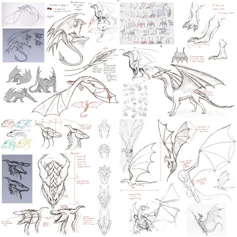 Anatomy Of Dragon, Dragon Anatomy Drawing Reference, Dragon Wings Anatomy, Fantasy Drawing Tutorial, Dragon Wing Anatomy, Dragon Proportions, Dragon Mouth Drawing, Dragon Study Drawing, Dragon Claw Reference