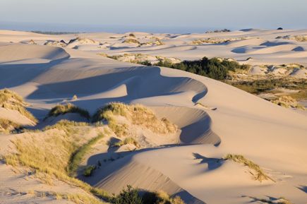 Pacific Coast Road Trip, Florence Oregon, Oregon Dunes, Visit Oregon, Explore Oregon, Oregon Living, Oregon Washington, Seaside Village, Ocean Drive