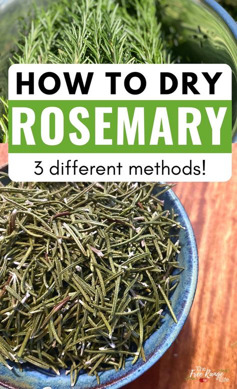 Uses For Rosemary Leaves, What To Do With Dried Rosemary, What To Do With Extra Rosemary, Dry Rosemary How To, How To Use Fresh Rosemary, How To Preserve Fresh Rosemary, How To Dry Fresh Rosemary, What To Do With Rosemary Fresh Herbs, How To Dehydrate Rosemary