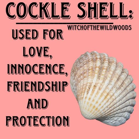 WitchOfTheWildWoods Sea Shell Spiritual Meaning, Sea Shell Meaning, Cowrie Reading, Seashell Magick, Grimoire Topics, Ancestral Work, Shell Magic, Water Magick, Lady Aphrodite