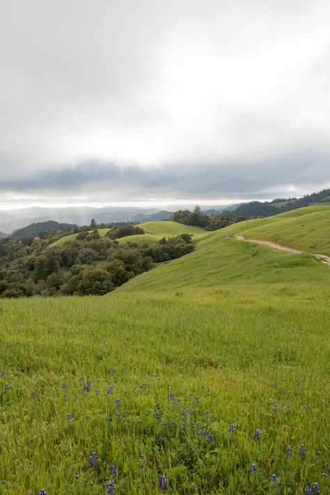 Calming View, Greenery Landscape, Hill Aesthetic, Open Landscape, Calm Nature, Calming Nature, English Projects, Places In California, Spring Wildflowers