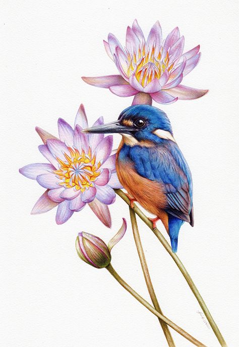 Rose Flowers Drawing, Kingfisher Painting, Lily Art, Fabric Painting Techniques, Bird Watercolor Paintings, Watercolor Elements, Flowers Drawing, Easy Flower, Realistic Paintings