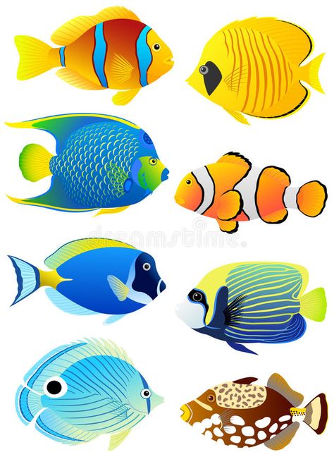 Tropical Fish Pictures, Fish Tropical, Fish Vector, Fish Stock, Fish Drawings, Beautiful Fish, Fish Painting, Colorful Fish, Fish Art