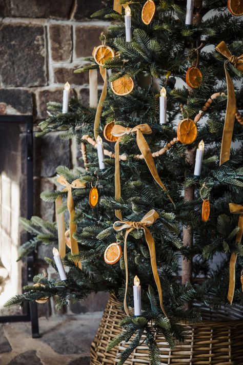 Dried orange slices: a Little Women inspired Christmas. - dress cori lynn Orange And Green Christmas Decor, Christmas Tree Ideas Nature Theme, Christmas Decorations Orange, Orange And Cranberry Christmas Tree, Dried Oranges On Christmas Tree, Different Christmas Decor Aesthetics, Christmas Decor With Dried Oranges, Dried Orange Christmas Decor, Christmas Trees With Dried Oranges