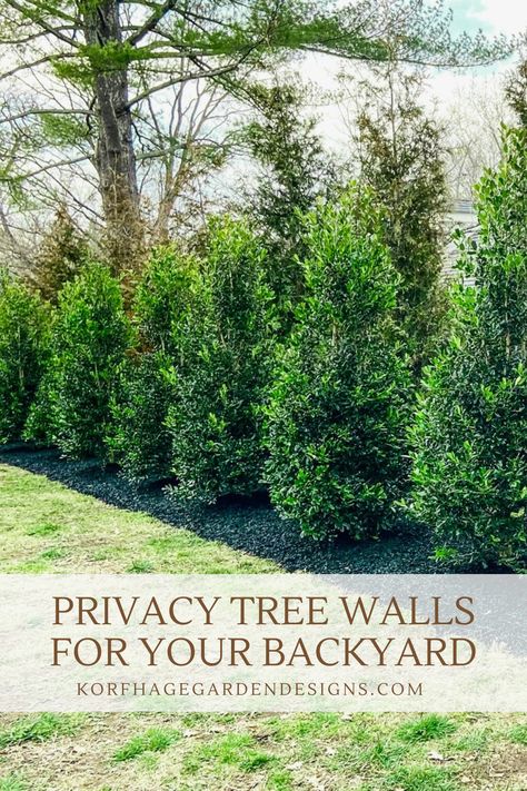 Privacy Landscaping is a major desire of many homeowners. Let’s walk through the steps on how to achieve this custom, private look. Backyard Tree Privacy Ideas, Landscape Design Privacy, Layered Privacy Landscaping, Landscape Design For Privacy, Narrow Privacy Landscaping, Tree Privacy Landscaping, Landscaping Privacy Trees, Privacy Walls Backyard, Landscape Privacy Ideas