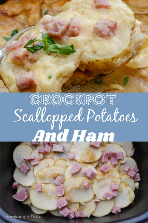 Crockpot Scalloped Potatoes and Ham are a classic scalloped potato recipe. This is the perfect leftover ham recipe to make this is creamy, rich, and savory. Crockpot Scalloped Potatoes And Ham, Crockpot Scalloped Potatoes, Ham And Potato Recipes, Crockpot Ham And Potatoes, Scalloped Potato Recipe, Dutch Oven Beef Stew, Ham Recipes Crockpot, Scallop Potatoes, Scalloped Potatoes Crockpot