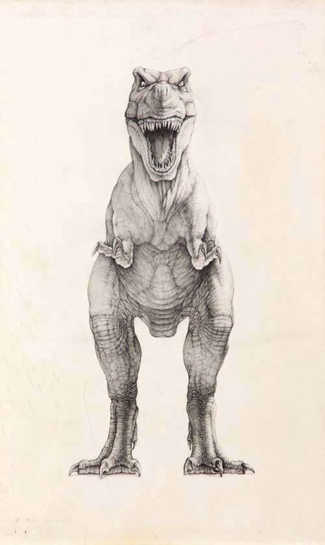 Jurassic Park Concept Art Tyrannosaurus Rex Trex Dinosaur Drawing, Crash Mccreery, Rex Tattoo, Trex Dinosaur, Dinosaur Sketch, Cool Dinosaurs, Dinosaur Tattoos, Child Hood, Dinosaur Drawing