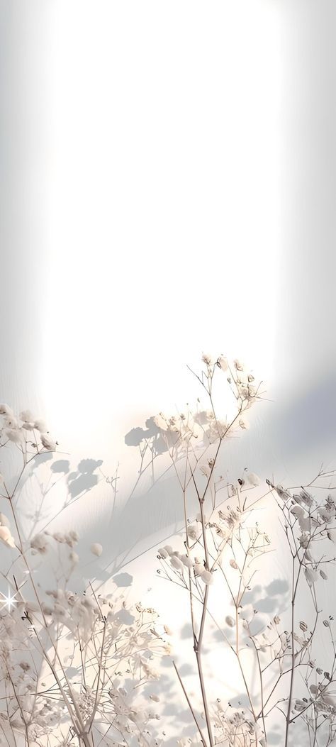 White Flowers Aesthetic Background, Cute Wallpaper Backgrounds Simple, Neutral Asthetic Wallpers Iphone, Wallpaper Ipad Aesthetic White, Neutral Ipad Wallpaper Aesthetic, Calming Backgrounds Iphone Wallpaper, Iphone White Wallpaper Aesthetic, White Asthetics Wallpaper Iphone, Aesthetic Iphone Wallpaper Classy