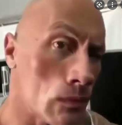 The Rock Eyebrow, One Eyebrow Raised, Rock Meme, Why Are You Single, Disgusted Face, Raised Eyebrow, Rock Johnson, The Rock Dwayne Johnson, Reaction Face