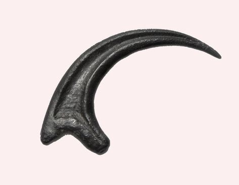 JURASSIC PARK FOSSIL raptor claw prop replica Velociraptor Claw, Raptor Claw, Dr Alan Grant, Dinosaur Sculpture, Claw Tattoo, Dinosaur Claw, Alan Grant, Jurassic Park Movie, Dinosaur Tattoos